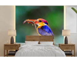 Behang - Fotobehang IJsvogel - Salamander - Tak - Breedte 240 cm x hoogte 240 cm