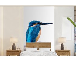 Behang - Fotobehang IJsvogel - Tak - Snavel - Breedte 120 cm x hoogte 240 cm