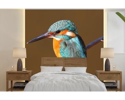 Behang - Fotobehang IJsvogel - Takken - Kleurrijk - Breedte 240 cm x hoogte 240 cm