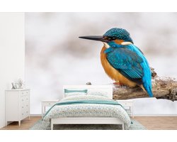 Behang - Fotobehang IJsvogel - Winter - Takken - Breedte 330 cm x hoogte 220 cm
