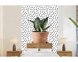 Behang - Fotobehang Kamerplant - Bloempot - Stippen - Breedte 145 cm x hoogte 220 cm