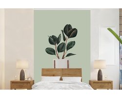 Behang - Fotobehang Kamerplanten - Bloempot - Groen - Breedte 225 cm x hoogte 350 cm