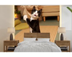 Behang - Fotobehang Kat - Woonkamer - Zwart - Breedte 240 cm x hoogte 240 cm