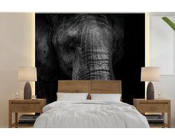 Behang - Fotobehang Olifant - Dier - Zwart - Breedte 260 cm x hoogte 260 cm