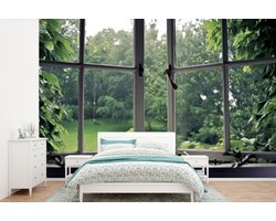 Behang - Fotobehang Overwoekerd oud raam - Breedte 360 cm x hoogte 240 cm