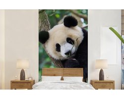 Behang - Fotobehang Panda - Puppy - Boom - Breedte 120 cm x hoogte 240 cm