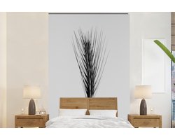Behang - Fotobehang Planten - Riet - Natuur - Zwart wit - Breedte 155 cm x hoogte 240 cm