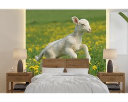 Behang - Fotobehang Schaap - Bloemen - Geel - Breedte 220 cm x hoogte 220 cm