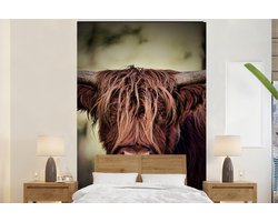Behang - Fotobehang Schotse hooglander - Licht - Portret - Natuur - Breedte 225 cm x hoogte 350 cm