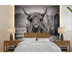 Behang - Fotobehang Schotse Hooglander - Portret - Zwart Wit - Breedte 260 cm x hoogte 260 cm