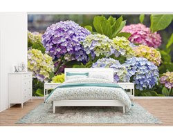 Behang - Fotobehang Verschillende hortensia bloemen - Breedte 500 cm x hoogte 280 cm