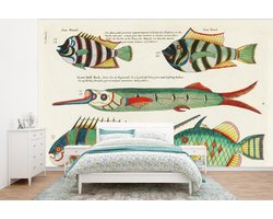 Behang - Fotobehang Vis - Vintage - Realisme - Breedte 295 cm x hoogte 220 cm