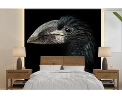 Behang - Fotobehang Vogel - Portret - Neushoornvogel - Zwart - Dieren - Breedte 350 cm x hoogte 350 cm