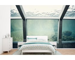 Behang - Fotobehang Zeehond in aquarium - Breedte 525 cm x hoogte 350 cm