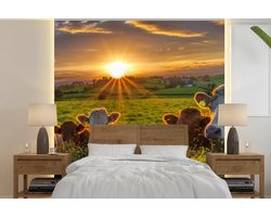 Behang - Fotobehang Zon - Koe - Gras - Breedte 280 cm x hoogte 280 cm
