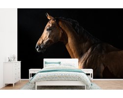 Behang kind - Decoratie kinderkamer - Dieren - Paard - Bruin - Zwart - Kinderen - 360x240 cm - Muurdecoratie kinderkamer - Kinderbehang