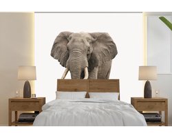 Behang kinderkamer - Fotobehang Olifant - Kinderen - Jongens - Dieren - Meisjes - Breedte 240 cm x hoogte 240 cm - Kinderbehang