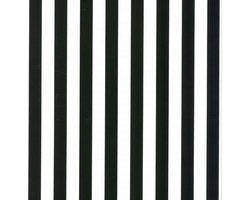 Behang Strepen - Zwart wit - Lijnen - Streep behang- Slaapkamer behang - Vliesbehang - 0,53x10,05M Fabulous World