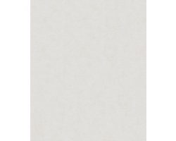 Behang uni - Behang - Muurdecoratie - Wanddecoratie - Vliesbehang - Assorti 2022-2024 - 0,53 x 10,05 M.