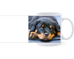 Beker - Rottweiler Hond Liggend