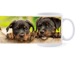 Beker - Rottweiler Pups