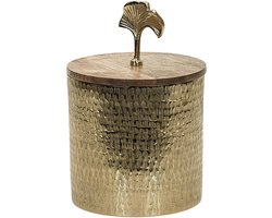 Beliani ASWAN - Bewaarpot - goud - Aluminium