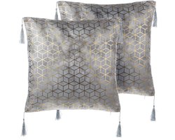 BELIANI CAMELLIA - Sierkussen set van 2 - Zilver - 45 x 45 cm - Polyester