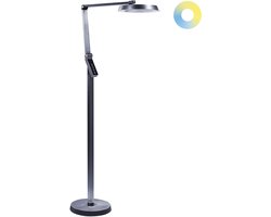 BELIANI CARINA - Staande lamp - Donkergrijs - Synthetisch materiaal