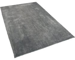 BELIANI EVREN - Shaggy vloerkleed - Lichtgrijs - 200 x 300 cm - Polyester