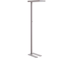 BELIANI TAURUS - Staande lamp - Zilver - Metaal