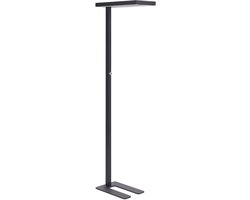 BELIANI TAURUS - Staande lamp - Zwart - Metaal