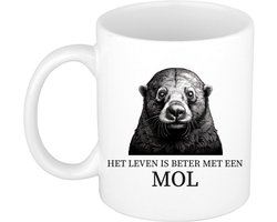 Bellatio Decorations Cadeau mok voor de familie Mol - het leven is beter met - wit - keramiek - 300 ml