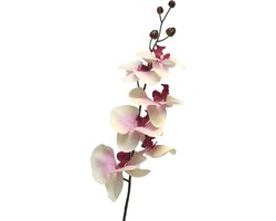 Bellatio Design Kunstbloem Orchidee Milan - wit/roze - 78 cm - losse steel - kunst zijdebloem