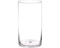 Bellatio flowers & plants Vaas - cilinder - transparant - glas - 16 x 30 cm - bloemenvaas