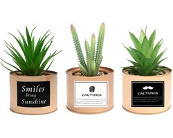 Belle Vous 3 Pak Mini Artificieel Groene Plastic Planten in Koper Metalen Potten – 10 x 7,5 cm – Nep Faux Vetplanten Kaktus Plant Pot Set – Huis Decoraties & Kantoor Bureau Decor Plantenpotten