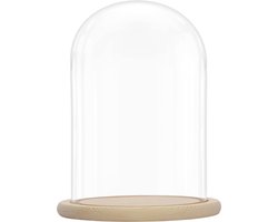 Belle Vous Glazen Stolp Pot met Houten Basis - 31,5 cm Hoog - Doorzichtig Decoratieve Tafeltop Display Bak met Tray voor Fee Lichten, Kopstukken en Antieke Items