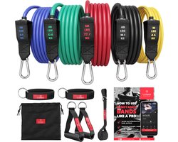 bemaxx Resistance Bands Weerstandsbanden Fitness Set + Trainings eBook - Expander Tubes - Elastische Work-Out Power Weerstand Banden: 5 Elastiek, Handvaten, Deuranker, Enkelbanden | Krachttraining Gym