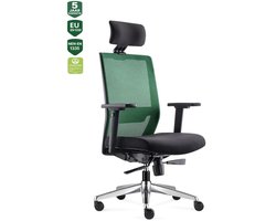 BENS 850H-Ergo-3 Groen - Ergonomische Bureaustoel - incl. Hoofdsteun - Gepolijst aluminium voetenkruis - GREENGUARD GOLD - Voldoet aan NEN-EN1335 & ARBO normen