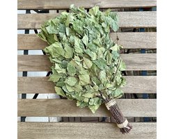 Berken Saunabezem - Traditionele Sauna Takken voor Sauna & Wellness