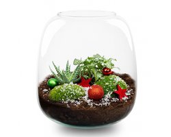 Berry Kerstmis terrarium - Planten terrarium met kurk - DIY kit Christmas - Ø 19 cm ↑ 20 cm