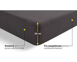 Beter Bed Select Jersey Hoeslaken - 120 x 200/210/220 cm - 100% Katoen - Matrasbeschermer - Matrashoes - Antraciet