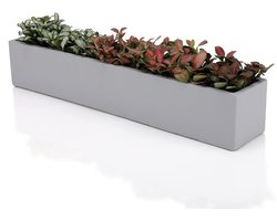 Beton Succulente Planter - 14,5 Inch - Grijs - Ongeglazuurd