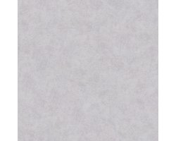 BETONLOOK BEHANG | Industrieel - betongrijs - A.S. Création BETON "Concrete & More"