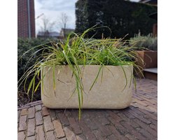 Betonnen bloembak rechthoek Odin S (80x22x40 cm) Cream | Voor buiten én binnen!