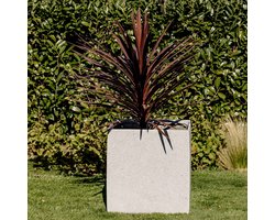 Betonnen bloembak vierkant Cube M (50x50x50 cm) Grey | Voor buiten én binnen!