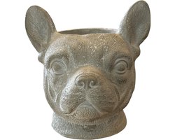 Betonnen Bloempot – Franse Bulldog – 19 x 19 x 20 cm – 2,65 kg – Grijs