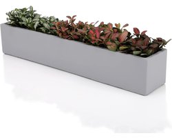 Betonnen Plantenbak Rechthoek - Vensterbank Potten - Succulenten Kweken - Met Afvoer Gat - 37cm Lang - Grijs