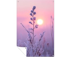 Bevroren plant in ochtendlicht - Zonsopkomst tuinprints - Tuinmuurdecoratie plant - Minimalisme - Tuin accessoires - Posters tuin - tuinposter 60x90 cm