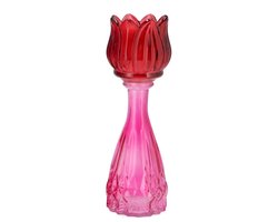 Bicolore dutch pink mix tulip vase 7x22cm