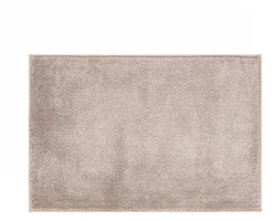 Binnen Vloermat - Antislip deurmat binnen - Absorberende microvezel mat - Machinewasbaar en hygiënisch - Veilige ondergrond - Entree en hal bescherming - Huisdieren geschikt